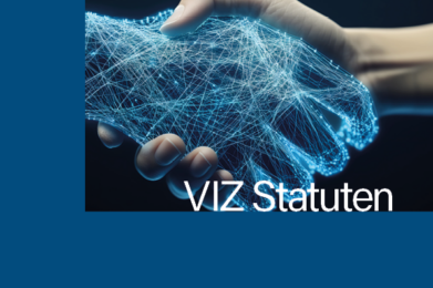 Deckblatt der VIZ Statuten