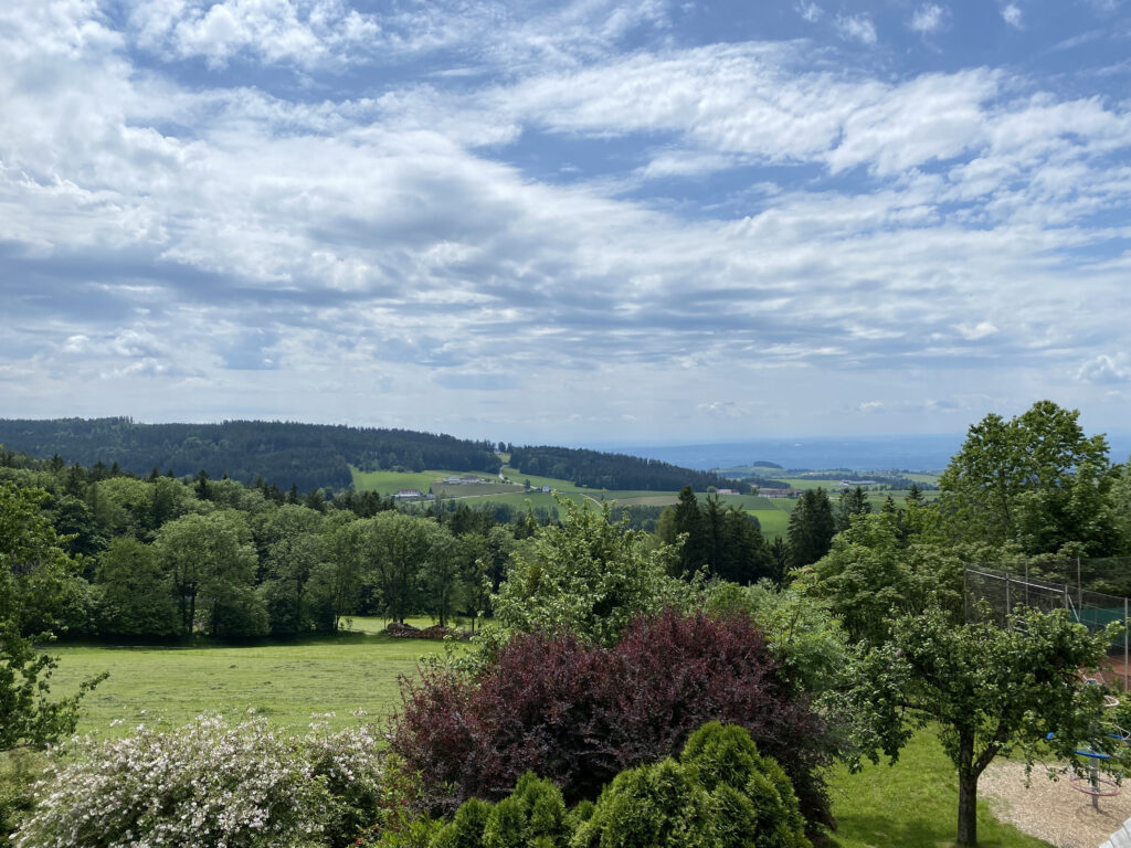 Blick von der Eidenberger Alm Richtung Linz